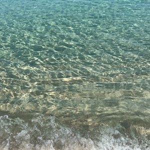 Meet your Posher, Sam